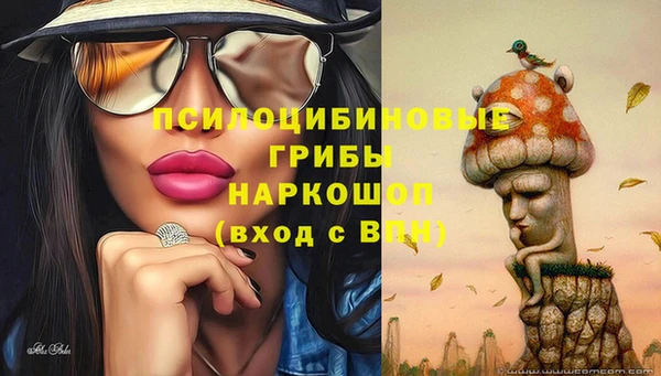 дмт Лабытнанги