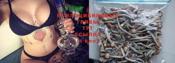 ECSTASY Долгопрудный