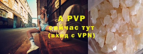 таблы Гусев