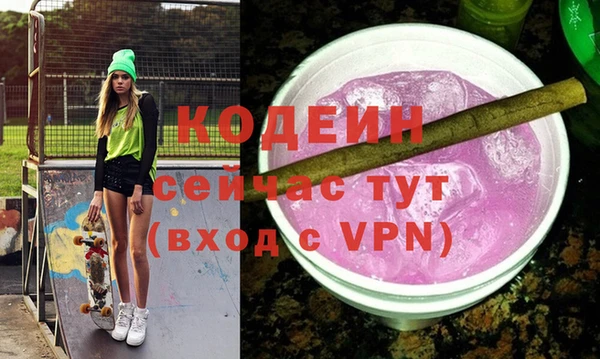таблы Гусев