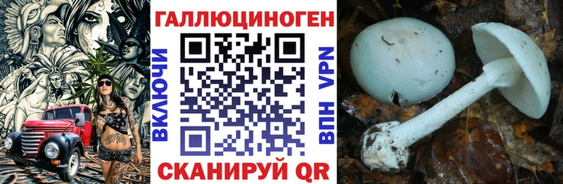 хочу   Жигулёвск  Галлюциногенные грибы мухоморы 
